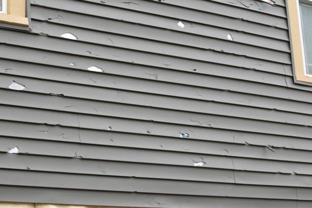 Professional Junk Removal in Calumet City, IL